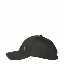 ZEBRA LOGO BASEBALL CAP Grey