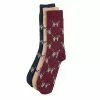 POINTER DOG SOCK GIFT BOX Cordovan -clothing Sales 28893 1 1800x1800