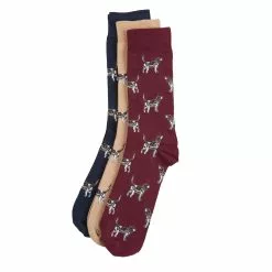 POINTER DOG SOCK GIFT BOX Cordovan