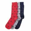 PHEASANT SOCK GIFT BOX Selection 1 -clothing Sales 28894 1800x1800